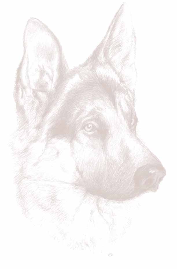 gshep.jpg (23339 bytes)